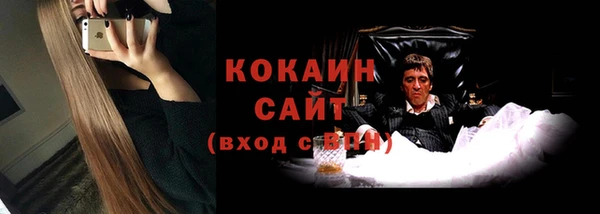 трава Осинники