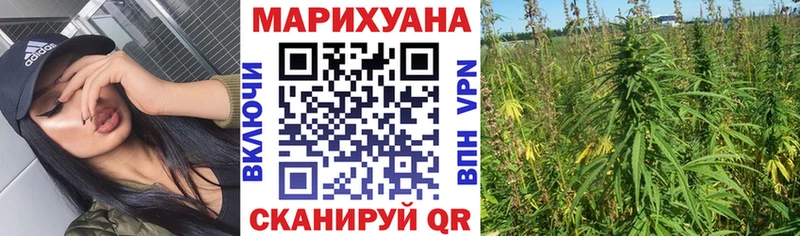Шишки марихуана семена сколько стоит ОМГ ОМГ ТОР Ялта